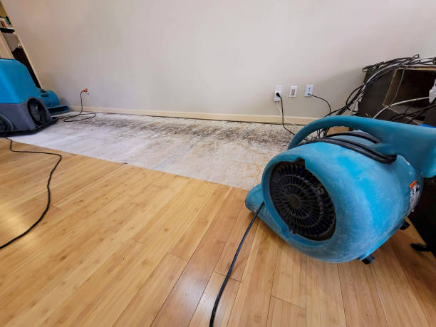 Professional Water Removal technician working in Ellenton, FL
